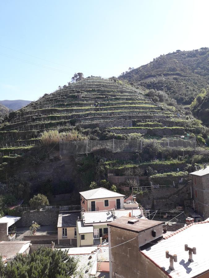 La Scala Cinqueterre Apartment Vernazza